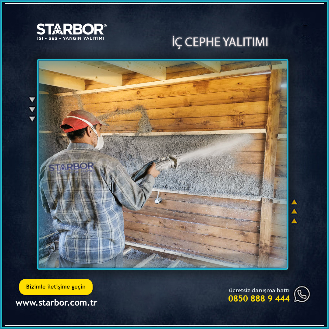 Starbor 6